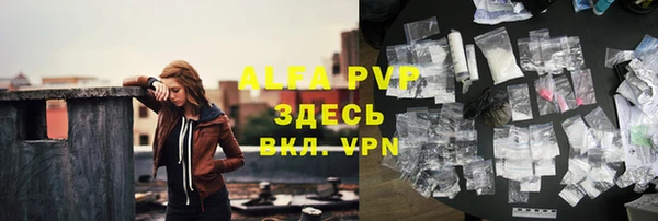 ПСИЛОЦИБИНОВЫЕ ГРИБЫ Заводоуковск