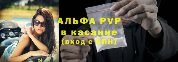 ПСИЛОЦИБИНОВЫЕ ГРИБЫ Заводоуковск