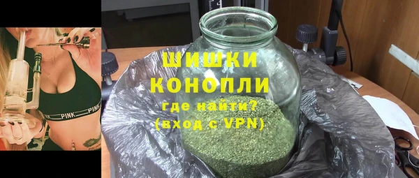 дживик Зеленокумск