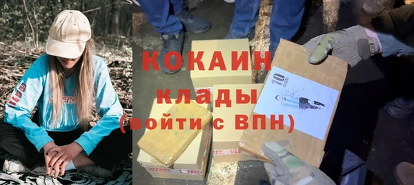 ПСИЛОЦИБИНОВЫЕ ГРИБЫ Заводоуковск